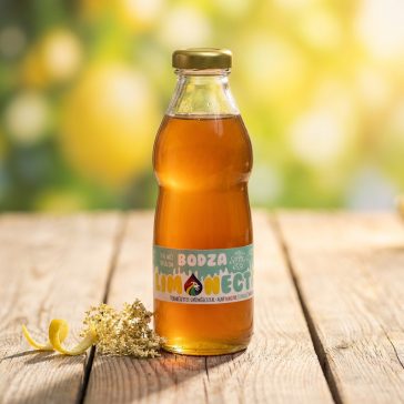 LIONECTAR Sirup Holunderblüte 500ml