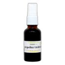 Propolis-Tinktur-Spray mit Vitamin C 30 ml alkoholfrei