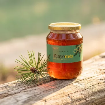 Pinienhonig 900g