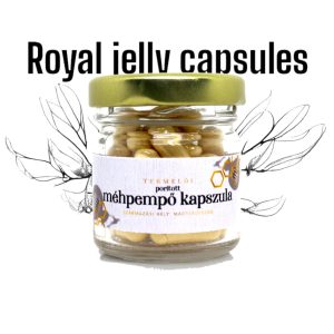 Gelée Royale Kapseln 30g