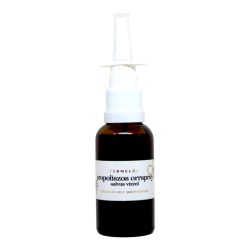 Propolis-Nasenspray mit Salvuswasser 30 ml