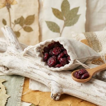 Rote Preiselbeeren - getrocknet, gezuckert 10dkg