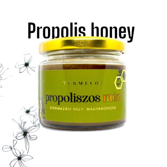 Propolis in Honig 230g