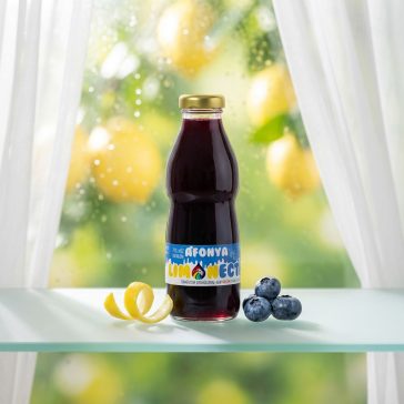 LIONECTAR Sirup Heidelbeere 500ml