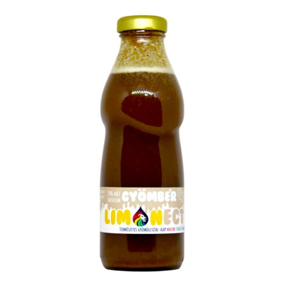 LIONECTAR Sirup Banane