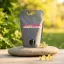LIONECTAR Sirup Holunderblüte 1500ml