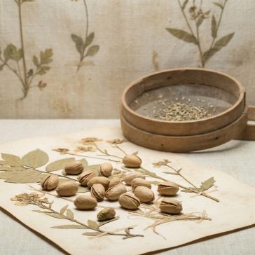 Pistazien - Natürlich, geschält 10dkg